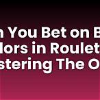 can you bet on both colors in roulette